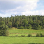 Nordic Walking - Landschaft